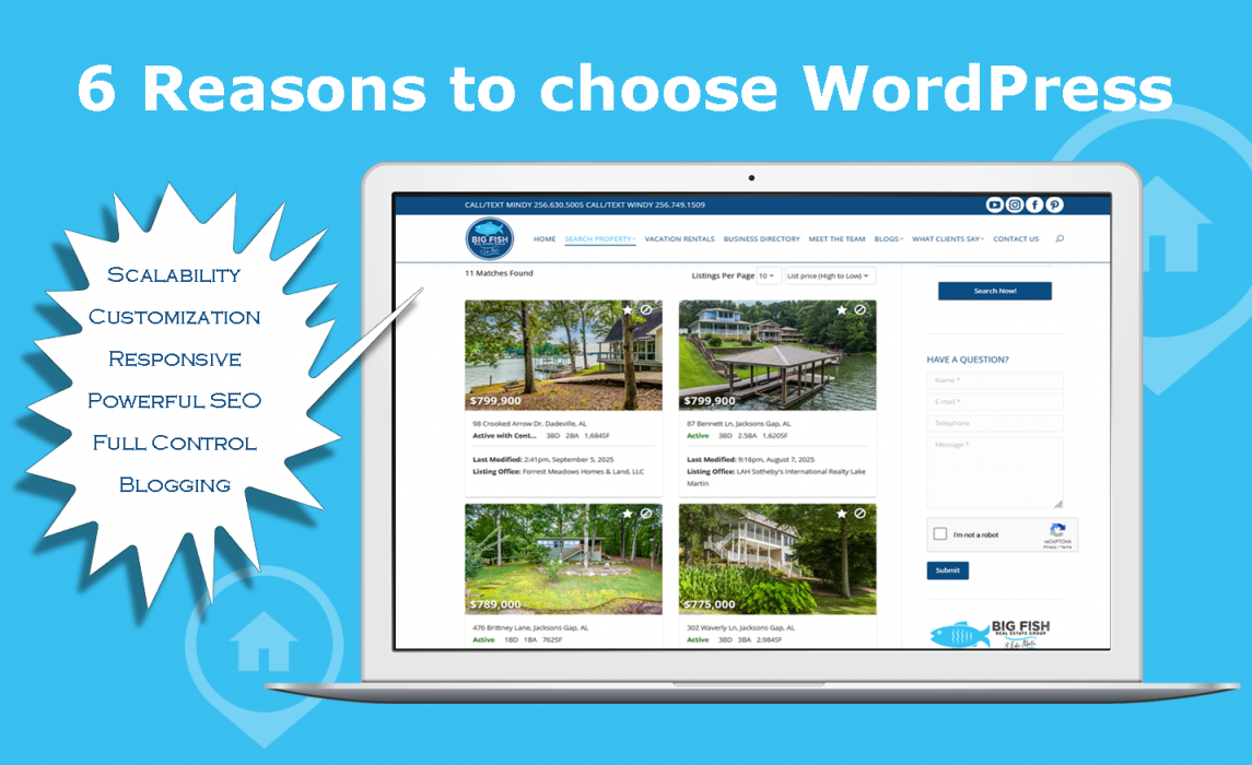 6 Reasons to Choose WordPress